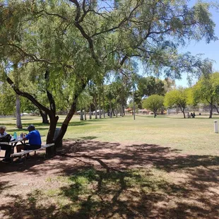 Another day of just relaxing under the trees