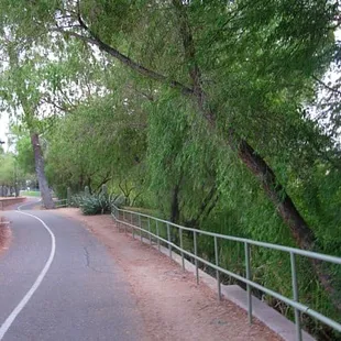 I love this stretch of the path behind the police station.