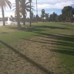 Shady grassy area by the pond for relaxing