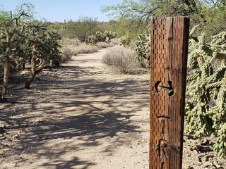 Honeybee Canyon Loop Trail