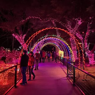 Christmas Zoo lights 2021