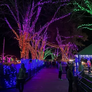 Christmas Zoo Lights 2021