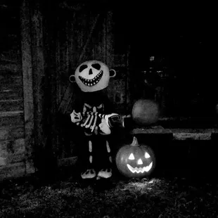 Reindeer Manor Halloween Park