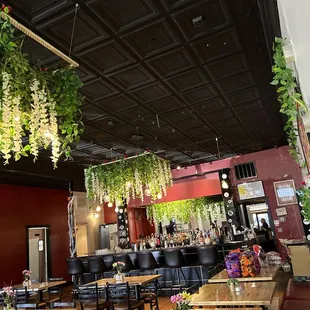 tables and chairs with plants hanging from the ceiling