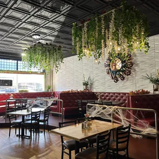 a spider web hanging from the ceiling