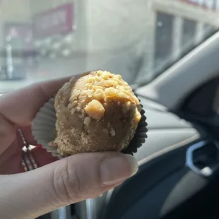 Peanut Butter Protein Ball