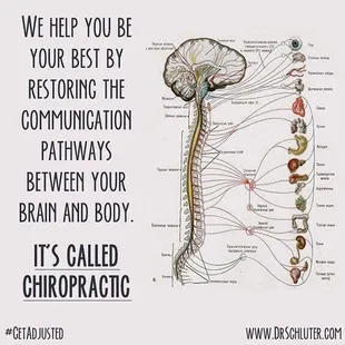 We adjust the bones. You body does the healing!!!