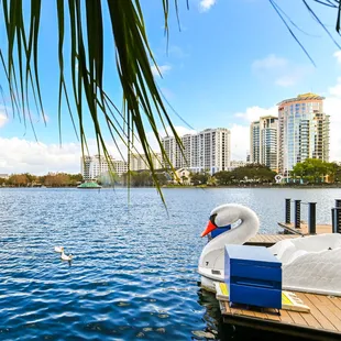 ramen and noodles, outside