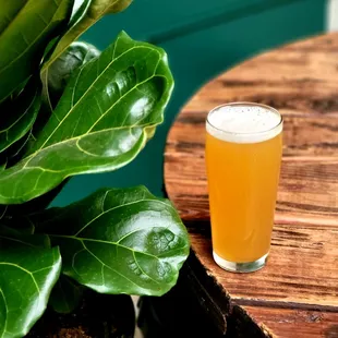 We will be ramping up production this year. Check out your local bars and let them know they need Relentless Brewing on their tap list.