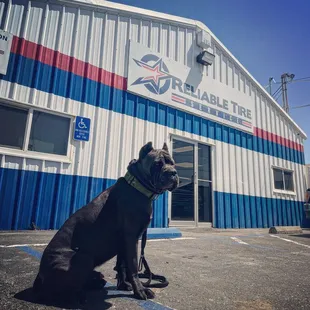 Reliable Tire Service