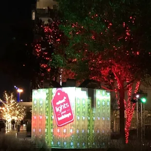 Reliant Lights Your Holidays Opening Night 2020 (Friday, 12/04/20)