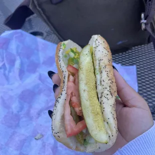 Veggie Chicago dog