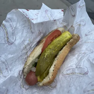 Chicago dog