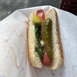 a hot dog with relish