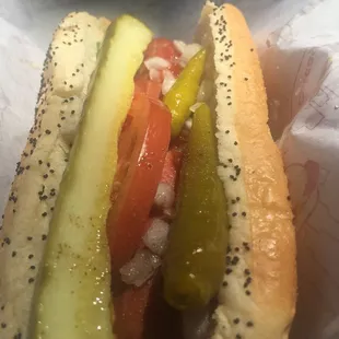 Chicago Hotdog was delish!