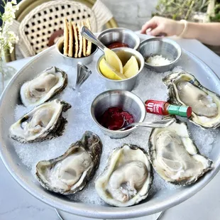 Raw Gulf Coast Oysters