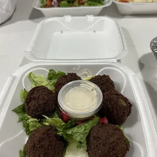 Falafel Plate