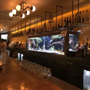 Fish tank behind the bar