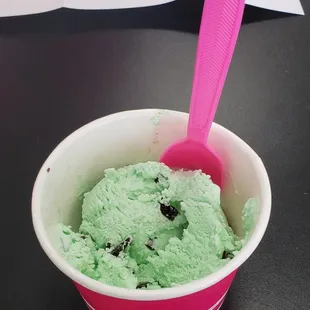 Mint Chocolate chip