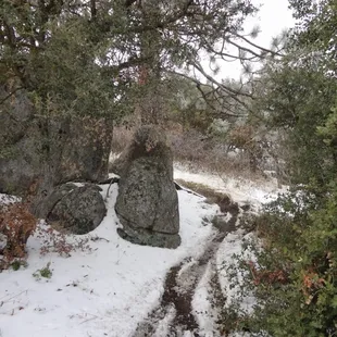 Snowy trails in February 2012
