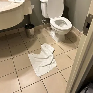 The  bathroom  of the room I was given upon check I