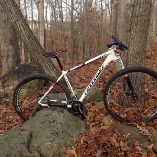 Short track loop!