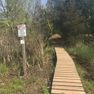 Hidden trail entrance across from baseball fields