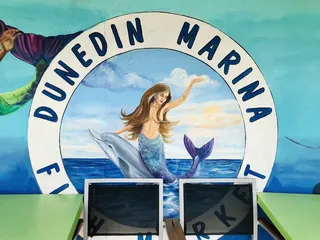 Dunedin Downtown Market