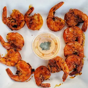 Shrimp