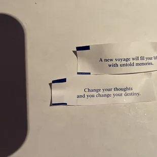 a new voyage will fill your life