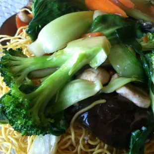 Pan Fried Noodles