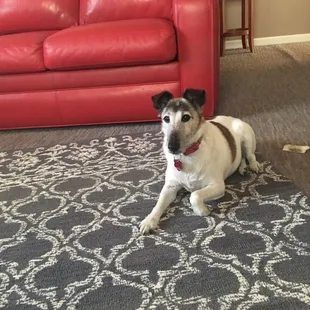 Almost time to go to my appointment with Dr H.