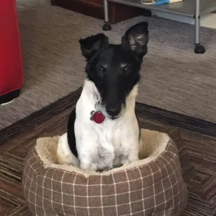 My favorite snuggle spot