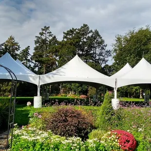 30x60 tent for garden wedding
