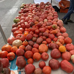 Tomatoes for days!