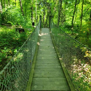 Suspension bridge