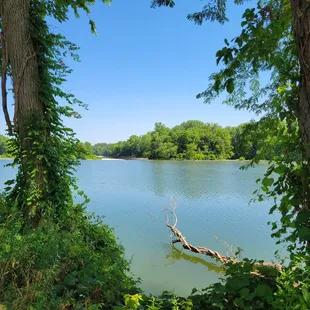 View of river