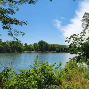 View of river