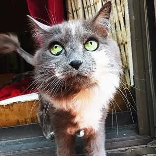 Karen D.