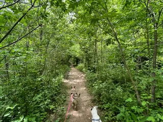Winton Woods