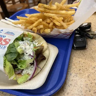 Gyro and fries