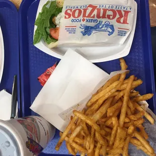 Falafel pita and fries