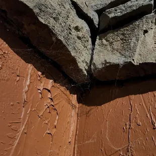 Cobwebs.  So sad