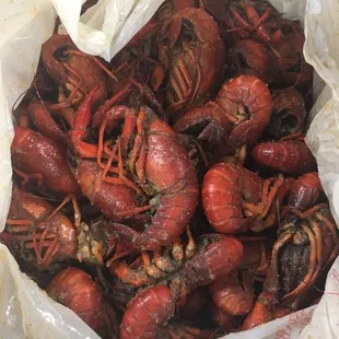 Crawfish 4.95 all day