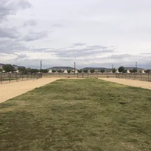 Dog Park area for large Dogs