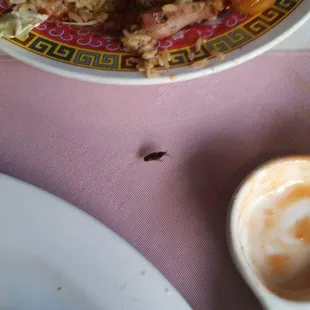 Found this cockroach in our food while going  last night for my birthday  dinner. NEVER will I go here again