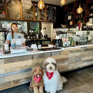 Great service and Dog friendly!