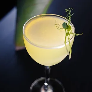 Cocktail on the Spring Menu, 2023.