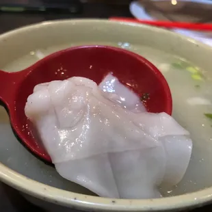 Wonton Soup