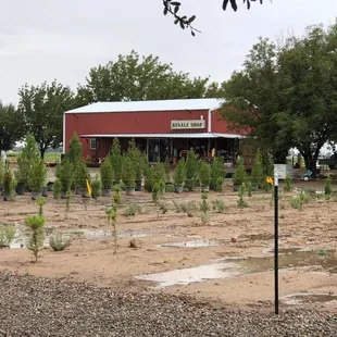 We are located on our Christmas Tree Farm! 
Santa Marana Xmas Tree Farm 

Lots to see here, besides shop !